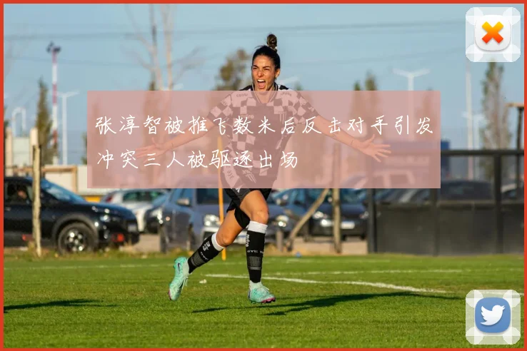 张淳智被推飞数米后反击对手引发冲突三人被驱逐出场