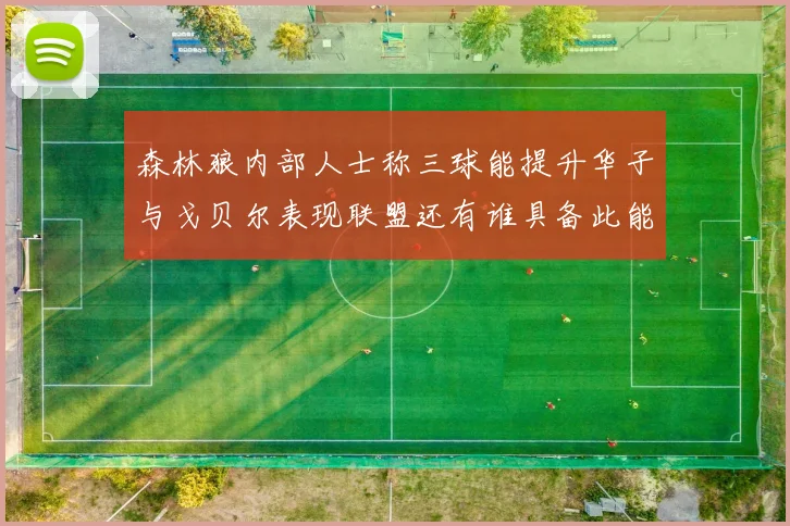 森林狼内部人士称三球能提升华子与戈贝尔表现联盟还有谁具备此能力